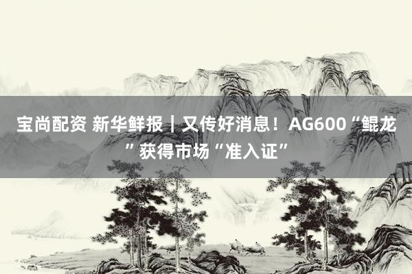 宝尚配资 新华鲜报｜又传好消息！AG600“鲲龙”获得市场“准入证”