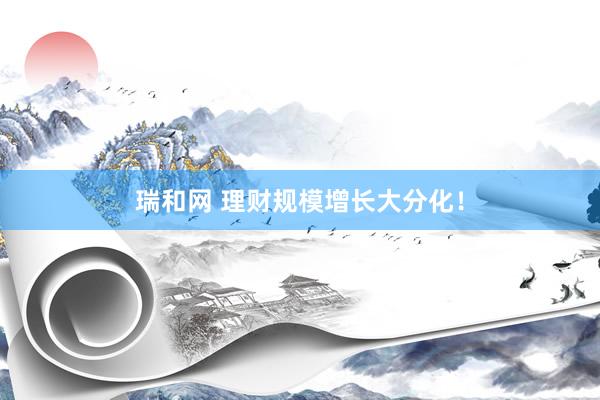 瑞和网 理财规模增长大分化！