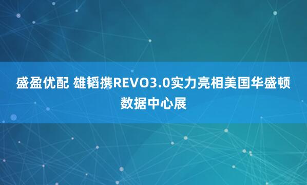 盛盈优配 雄韬携REVO3.0实力亮相美国华盛顿数据中心展