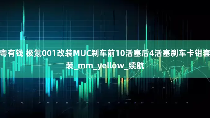 粤有钱 极氪001改装MUC刹车前10活塞后4活塞刹车卡钳套装_mm_yellow_续航