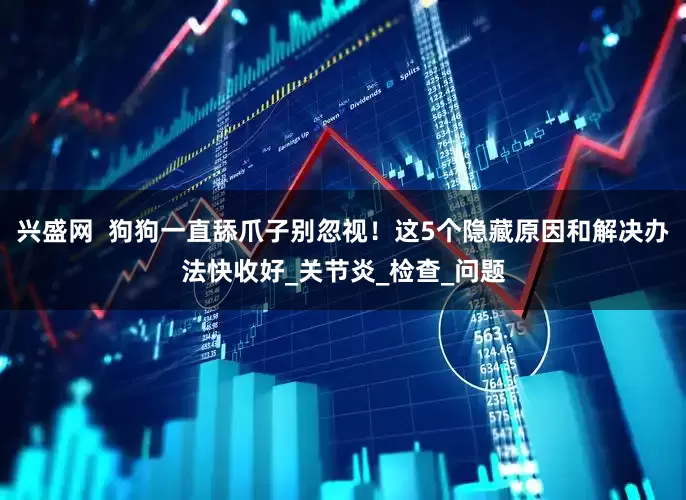 兴盛网  狗狗一直舔爪子别忽视！这5个隐藏原因和解决办法快收好_关节炎_检查_问题