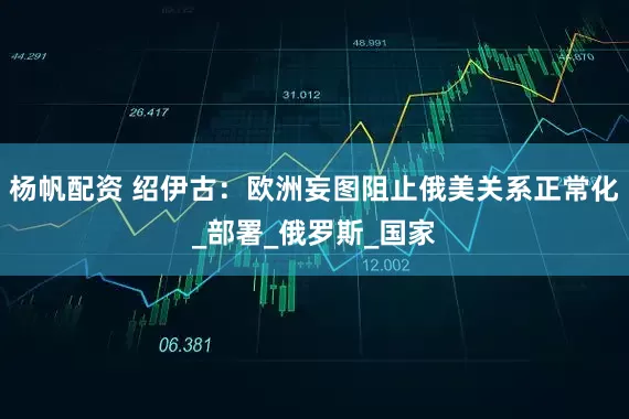 杨帆配资 绍伊古：欧洲妄图阻止俄美关系正常化_部署_俄罗斯_国家