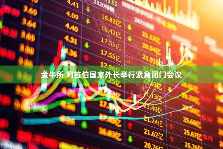 金牛所 阿拉伯国家外长举行紧急闭门会议