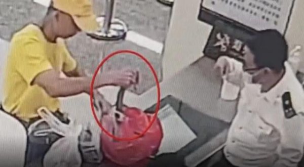 赢正通 男子深圳海关过安检时用塑料袋装眼镜蛇并徒手拎出，画面曝光！