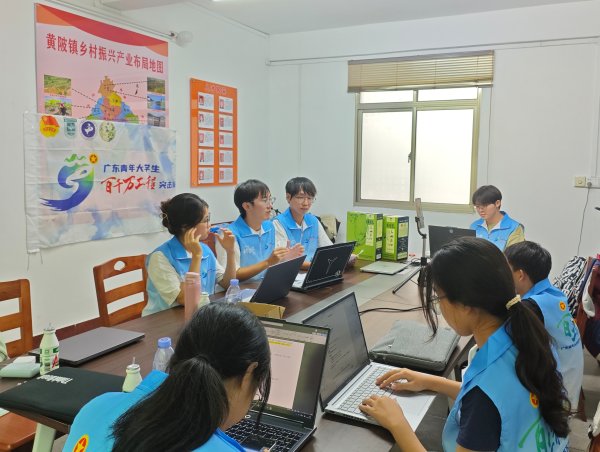 投牛策略 黄陂油茶“潮”出圈！高校团队带它从深山火到云端