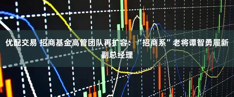 优配交易 招商基金高管团队再扩容：“招商系”老将谭智勇履新副总经理