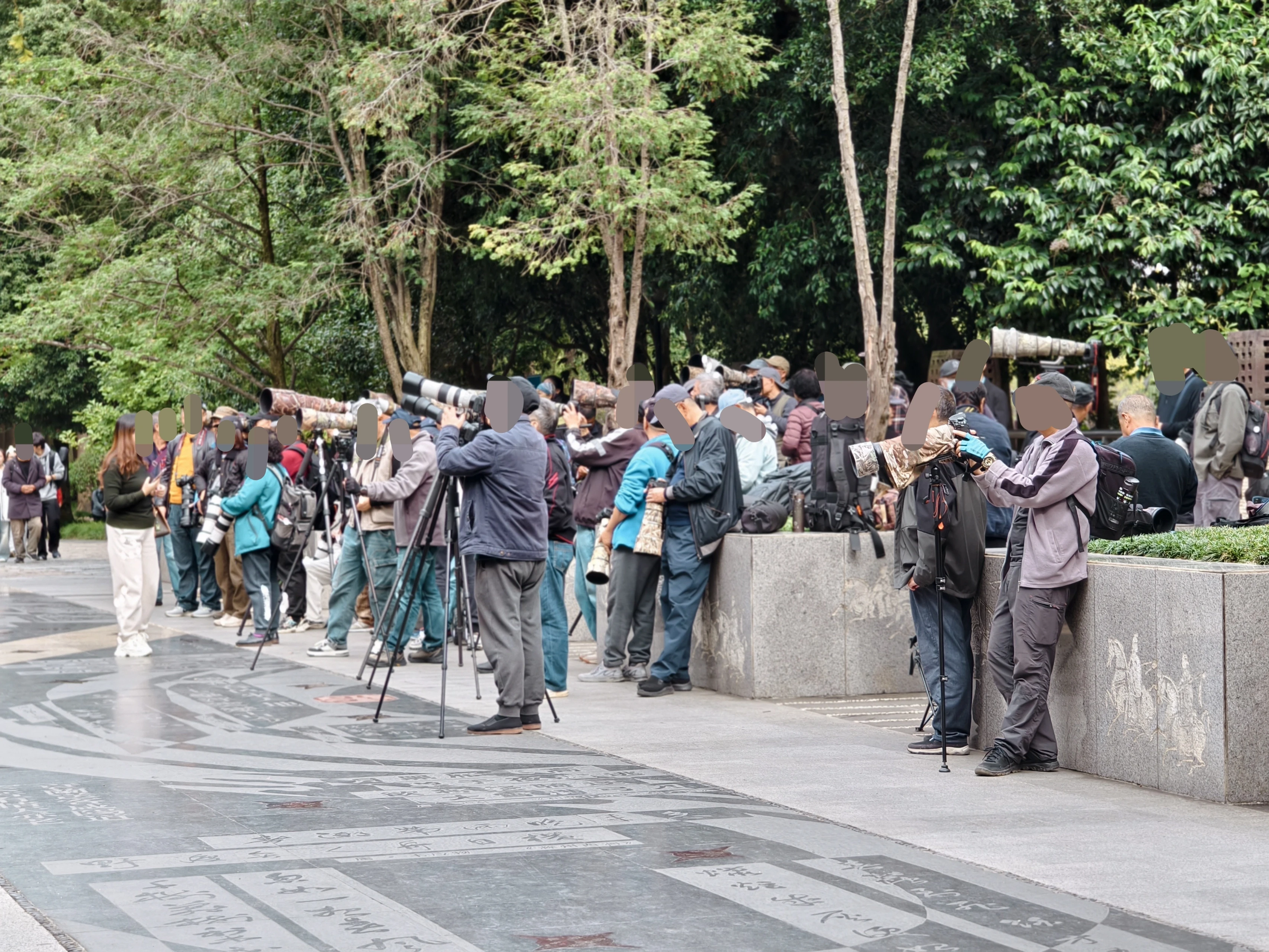 富盈网 网友爆料浣花溪公园有人诱拍鸟类 专业人士呼吁文明观鸟拍鸟